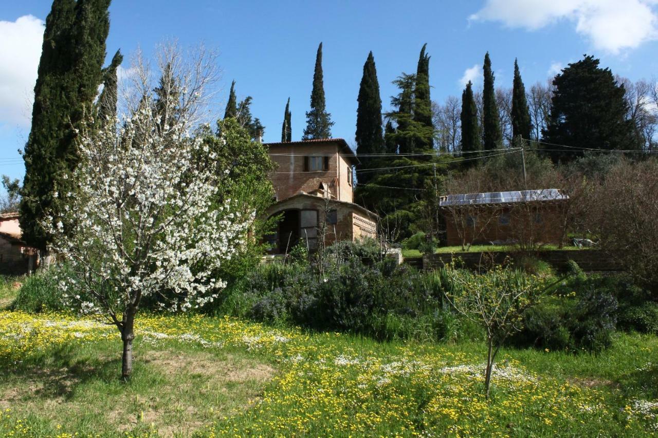 Bio B&B La Fanciullaccia Capannoli Exterior photo